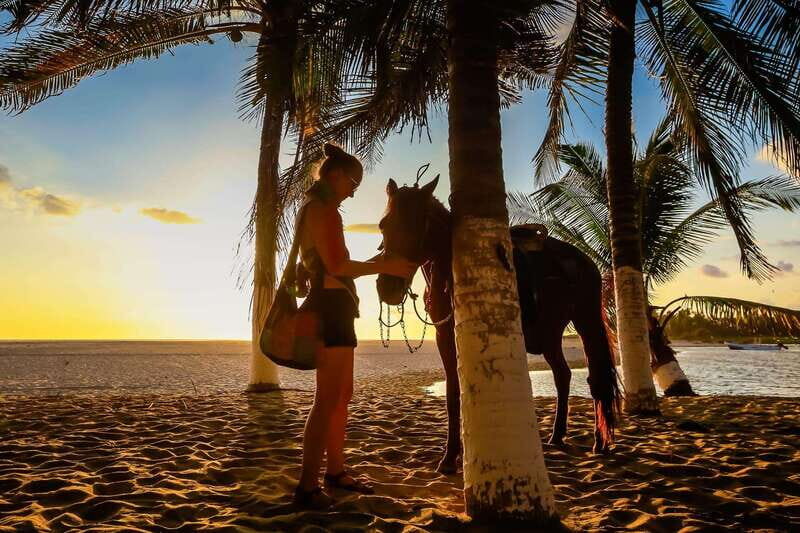 Sunset by Horse on the Beach - Itinerary Breakdown