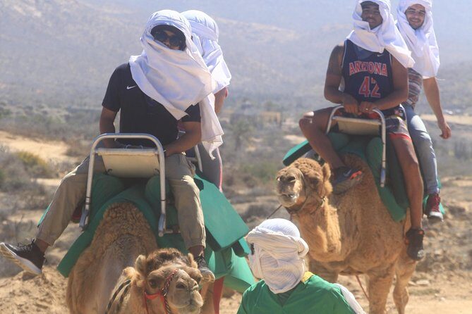 Sunset Camel Ride Tour - Authentic Reviews: What Tour Participants Say