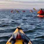 Sunset Kayaking in Dominion Park Beach - Who Will Love This Tour?