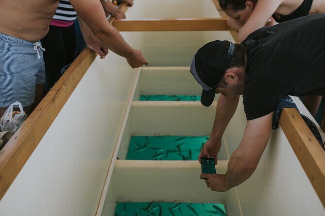 Sunset panorama & swimming with a fishes - Who Would Love This Tour?