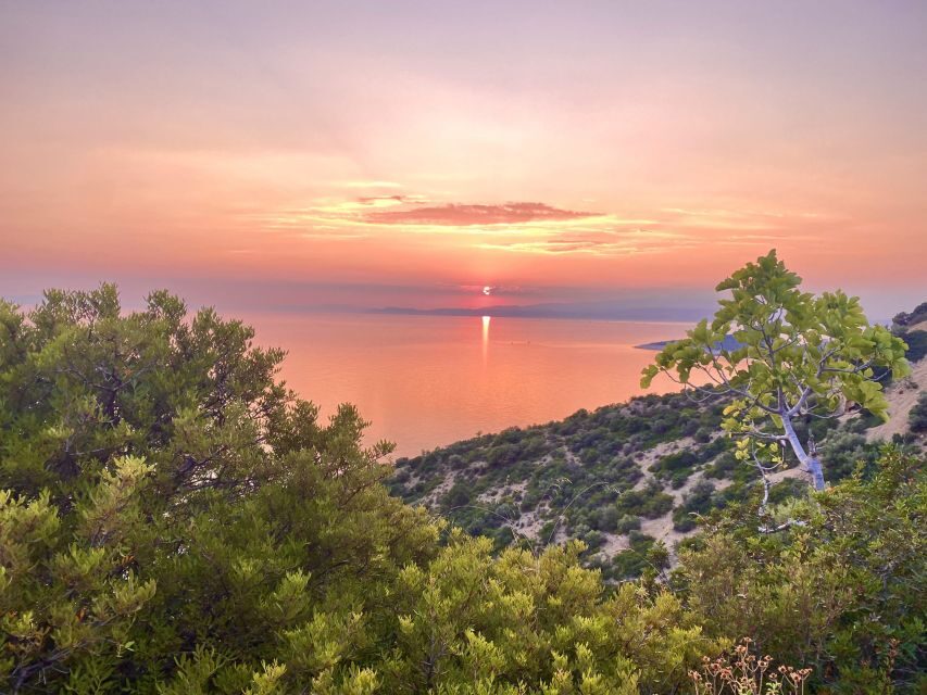 Sunset Safari in Thassos with free refill prosecco & fruits - Transportation & Group Dynamics