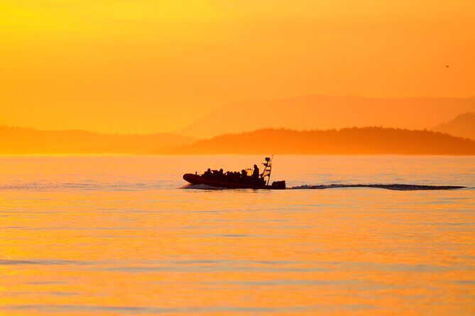 Sunset Whale and Wildlife Adventure in Cowichan Bay - Why This Tour Stands Out