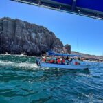 Swim with Sea Lions in La Paz - Practical Tips for Your Trip