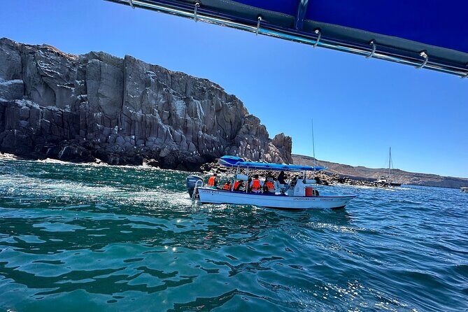 Swim with Sea Lions in La Paz - Practical Tips for Your Trip