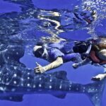 Swim with Whale Sharks & Isla Mujeres - Who Would Love This Tour?