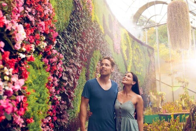 Sydney Private Tour - Pick up & Drop off - Authentic Experiences & Insights from Reviews