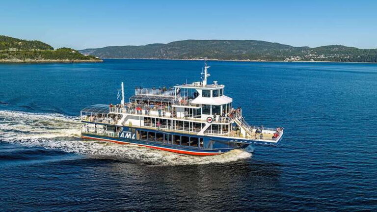 Tadoussac/Charlevoix: 3-Hour Whale Watching Boat Tour - Who Will Enjoy This Tour?