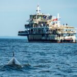 Tadoussac/Charlevoix: Whale & Bear Wildlife Tour - Practical Details and Considerations