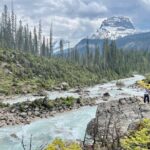 Takakkaw Falls Yoho National Park Bus Tour - Authentic Traveler Insights