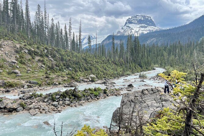 Takakkaw Falls Yoho National Park Bus Tour - Authentic Traveler Insights