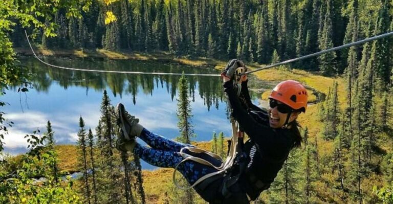 Talkeetna: Denali Zipline Tours - Practical Details and What You Should Know