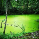 Tallinn: Astangu Nature and History Hike - An Introduction to the Astangu Hike