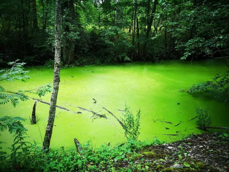 Tallinn: Astangu Nature and History Hike - An Introduction to the Astangu Hike