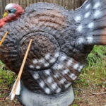 Tallinn: Beginner Archery Class with Transfer - Practical Details and Value