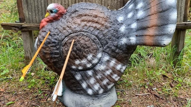 Tallinn: Beginner Archery Class with Transfer - Practical Details and Value