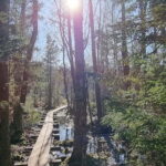 Tallinn: Best Estonian Nature Trails in a Day Guided Tour - Frequently Asked Questions