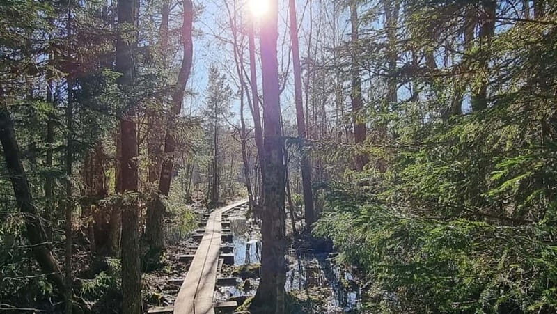 Tallinn: Best Estonian Nature Trails in a Day Guided Tour - Frequently Asked Questions