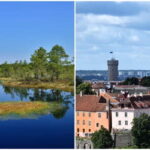 Tallinn: Old Town Tour with Bog Walk - From Bogs to Medieval Streets: The Old Town Tour