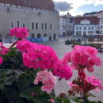 Tallinn Town Hall with a guide - What to Expect During the Tour