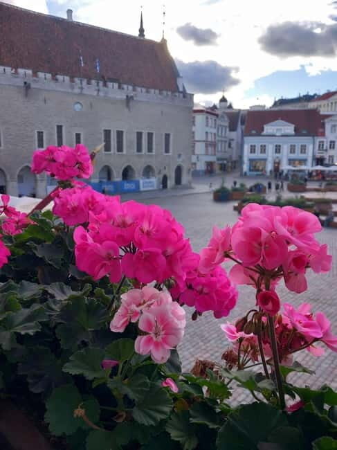 Tallinn Town Hall with a guide - What to Expect During the Tour