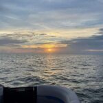 Tampa Bay: Sunset Cruise with Celebrity Homes and Wildlife - The Tour Experience: What You Can Expect