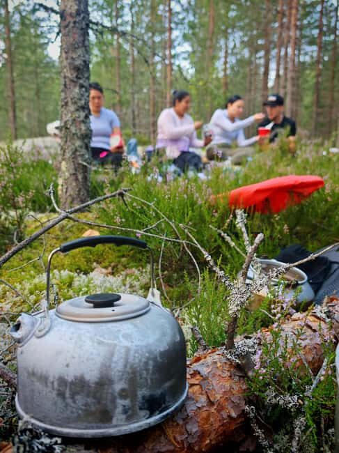 Tampere: Mushroom Picking and Tasting Tour with Meal - The Itinerary and Logistics