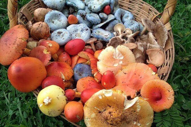 Taste and Tradition Acaxochitlán Culinary Tour from Mexico City - What’s Included and What’s Not