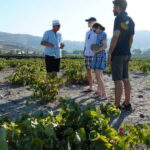 Taste & Create: Santorini Wine & Cooking Experience - FAQs