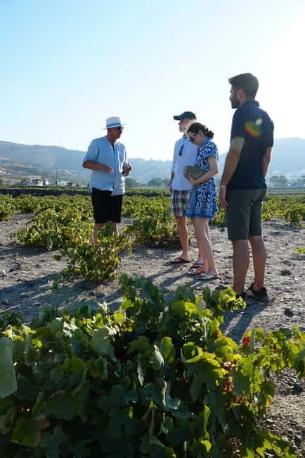 Taste & Create: Santorini Wine & Cooking Experience - FAQs