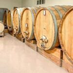 Tasting of 7 wines in the Langhe and visit to the cellar - Discovering the Soul of Piedmont Wines