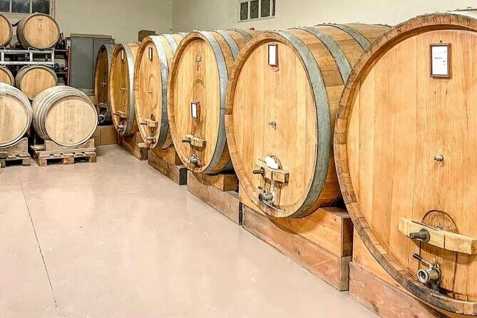 Tasting of 7 wines in the Langhe and visit to the cellar - Discovering the Soul of Piedmont Wines