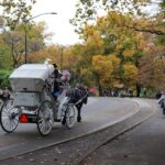 Tavern on the Green PickUp&DropOff With Horse Carriage Ride - Good To Know