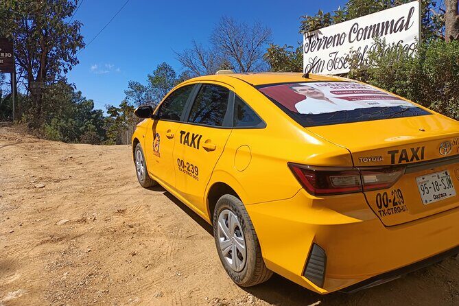 Taxi Transfer from Downtown Oaxaca to the Airport - What Reviewers Are Saying (Based on User Feedback)