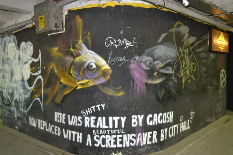 Tbilisi: Graffiti & Street Art Walking Tour - The Practicalities: What’s Included & What to Know