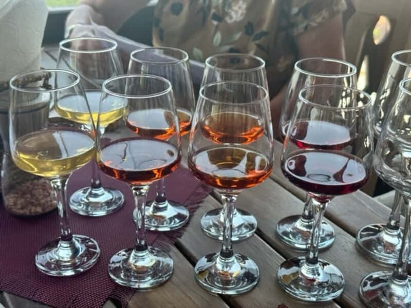 Tbilisi: Individual Wine Tasting with Professional Sommelier - What to Expect from the Wine Tasting