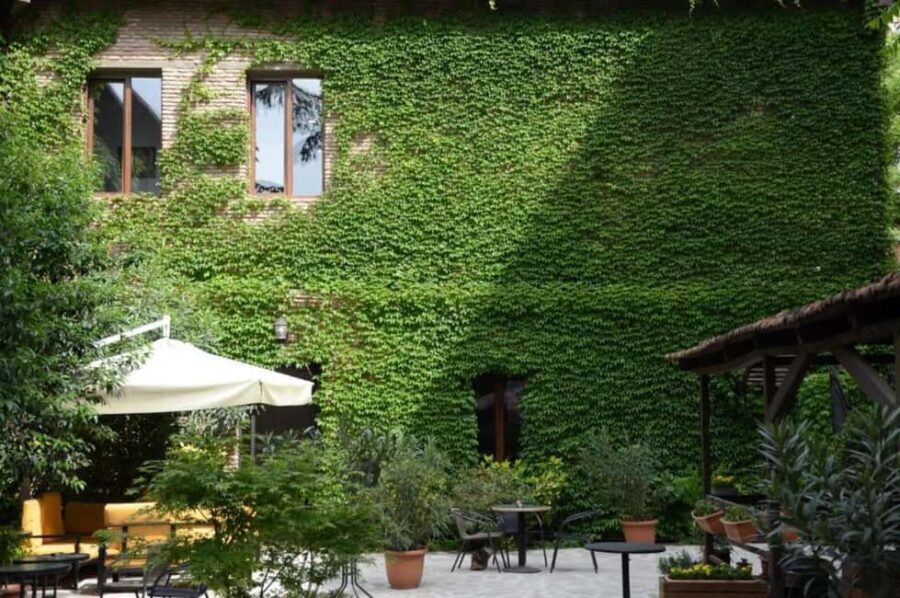 Tbilisi: Kazbegi Tour with 4-Star Hotel Stay & Meals - The Practicalities: What to Expect