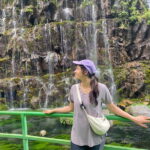 Tbilisi: Wild Waterfalls & Diamond Bridge Private Tour - Discovering Dashbashi Canyon: A Natural Gem