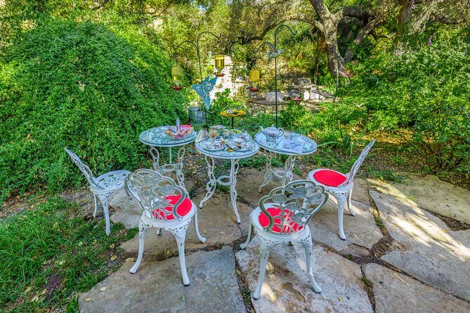 Tea with hummingbirds at a Hummingbird Sanctuary - What to Expect During Your Tour