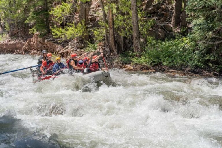 Telluride Morning Half Day Rafting Trip - San Miguel River - What’s Included and What You Need to Know