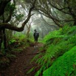 Tenerife Wonder Walk - FAQs