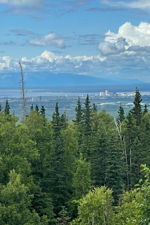 Tent city Anchorage and wonderful surroundings 3 hrs tour - What to Expect During Your Tour