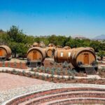 Tequila & Ancient Ruins: Private Day Trip from Puerto Vallarta - The Itinerary in Detail