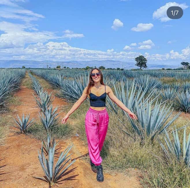 Tequila and Cantaritos Tour from Guadalajara - Practical Tips for a Smooth Experience
