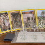 Tequila and Mezcal tasting in an educational tasting room - Practical Details and Value
