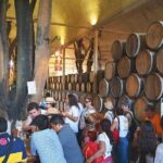 Tequila and the Magnificient Ancient Haciendas PRIVATE TOUR - First Stop: Plaza Principal Tequila Jalisco