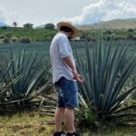 Tequila Jalisco Full Day Tour from Puerto Vallarta - What We Love About This Tour