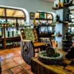 Tequila & Mezcal Tasting Experience - Why This Tour Will Suit You