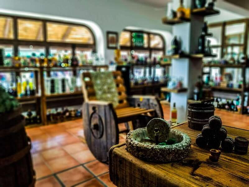 Tequila & Mezcal Tasting Experience - Why This Tour Will Suit You