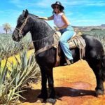 Tequila Pueblo Magico Adventure Day Trip from Puerto Vallarta - What Makes This Tour Stand Out?