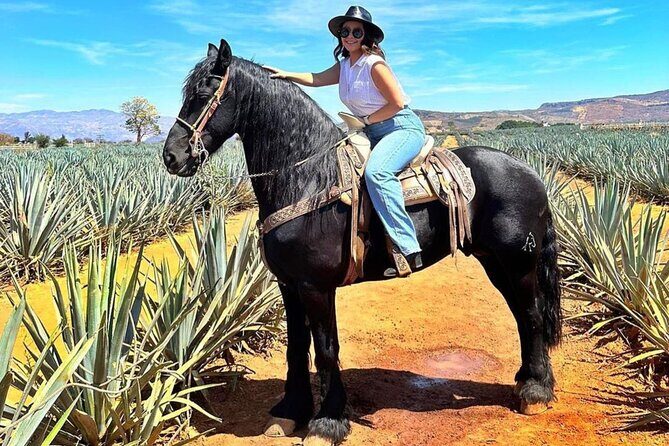 Tequila Pueblo Magico Adventure Day Trip from Puerto Vallarta - What Makes This Tour Stand Out?